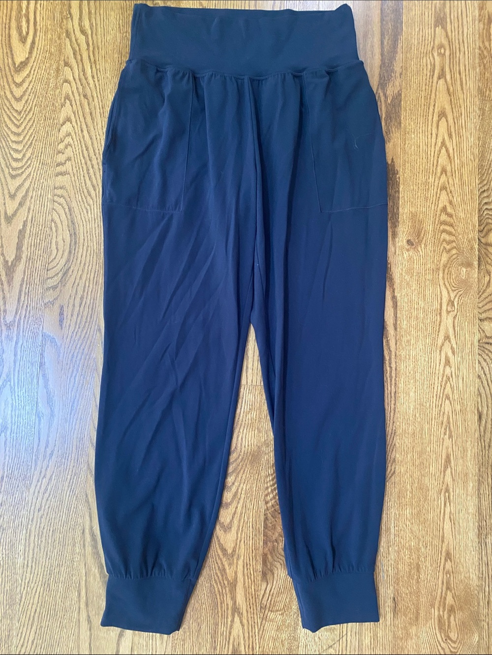 Athleta Salutation Cruise Jogger navy blue size medium comfort Powervita light